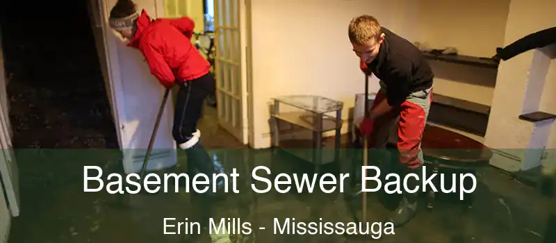 Basement Sewer Backup Erin Mills - Mississauga