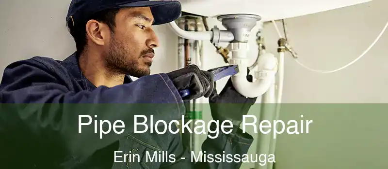 Pipe Blockage Repair Erin Mills - Mississauga